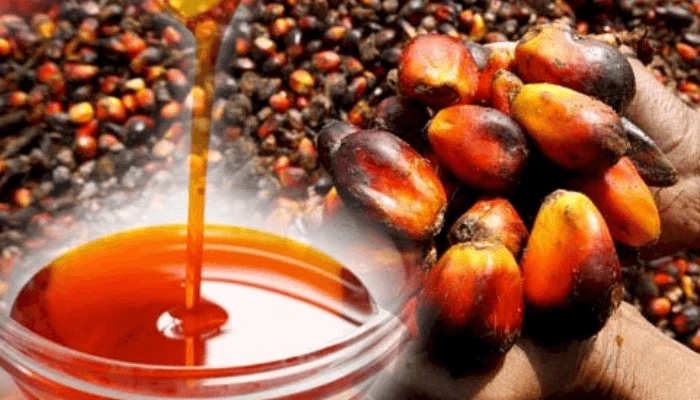 Fractionated Palm Oil