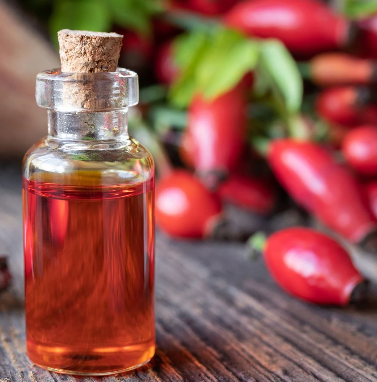 Rosehip Oil (With ISO-9001 Cert)