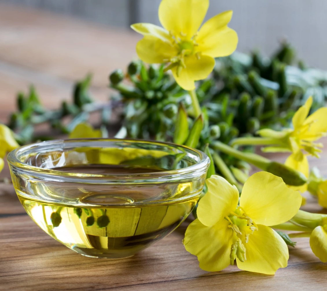 Evening Primrose Oil