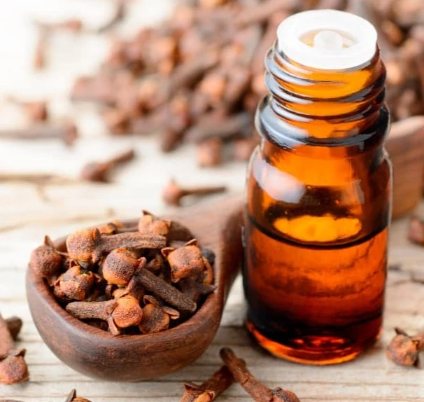 Clove Essential Oil