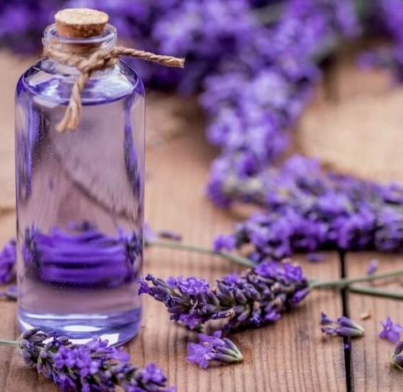 Lavender Fragrance Oil