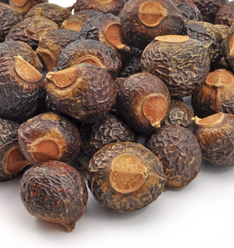 Soapberry Extract