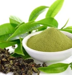 Green Tea Extract